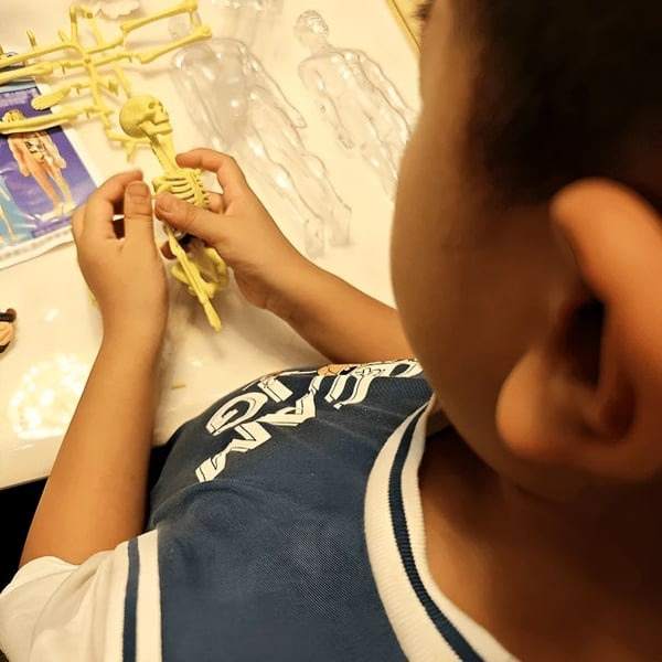 Jouet d'anatomie STEM avec organes amovibles : Maquette du corps humain pour enfants